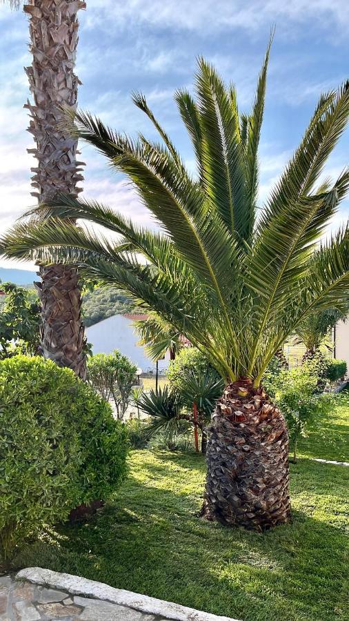 Palma Seaside Villa 1 Sarti Eksteriør billede